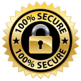 100% Secure Logo